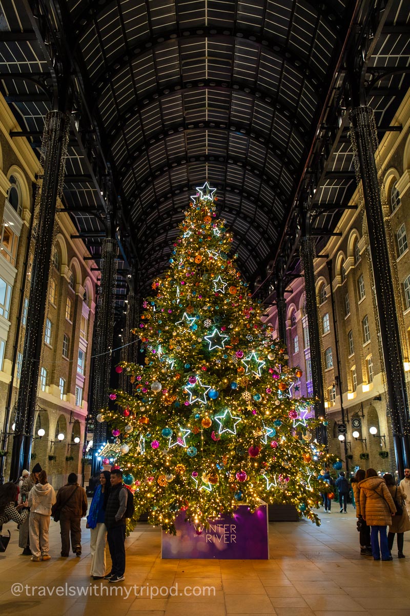 Hay's Galleria Christmas Tree