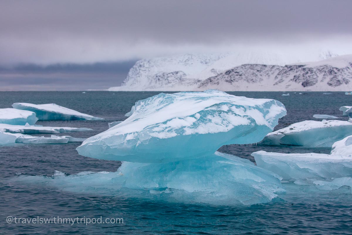 Iceberg in a fjord