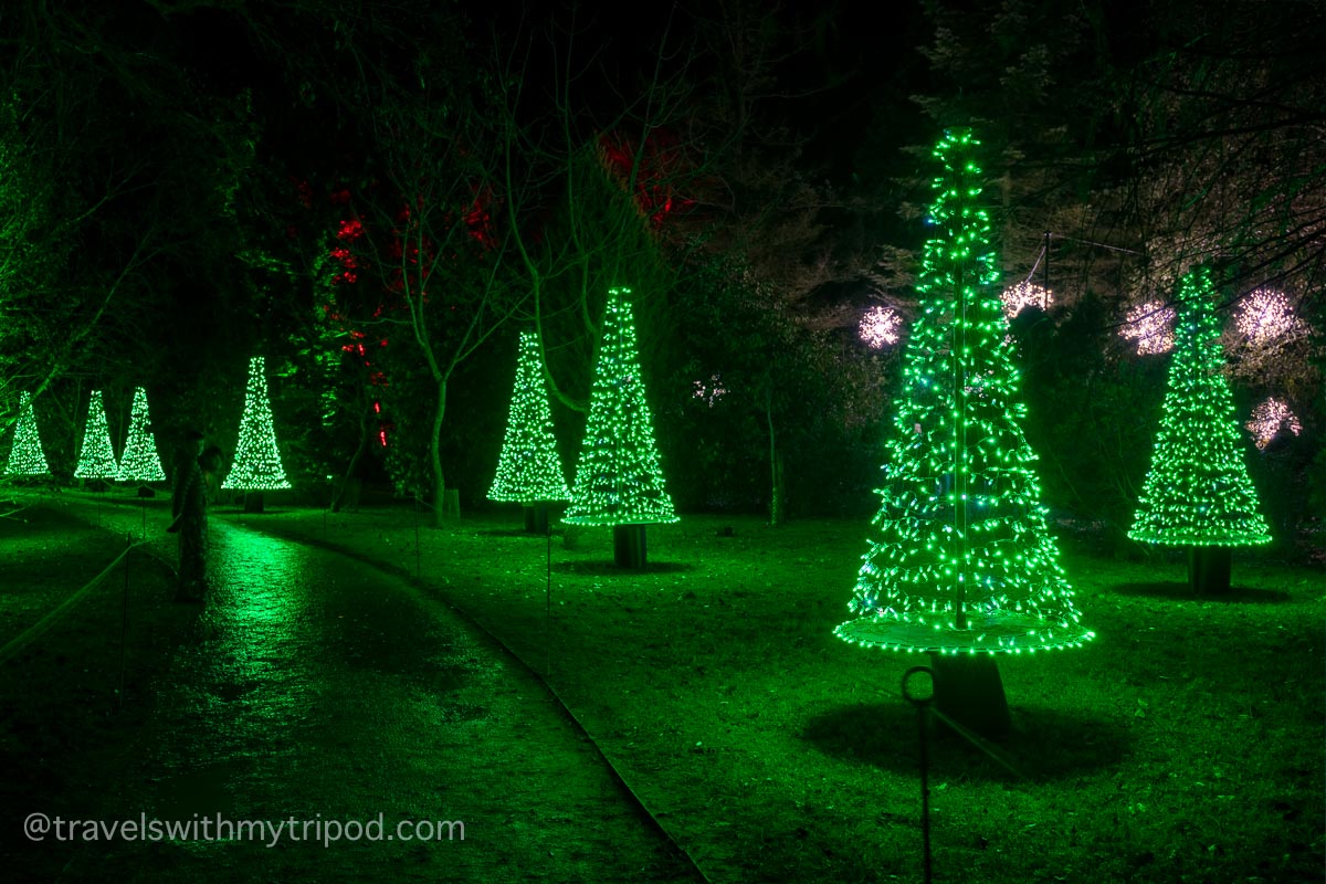 Christmas trees made from lights at Wimpole