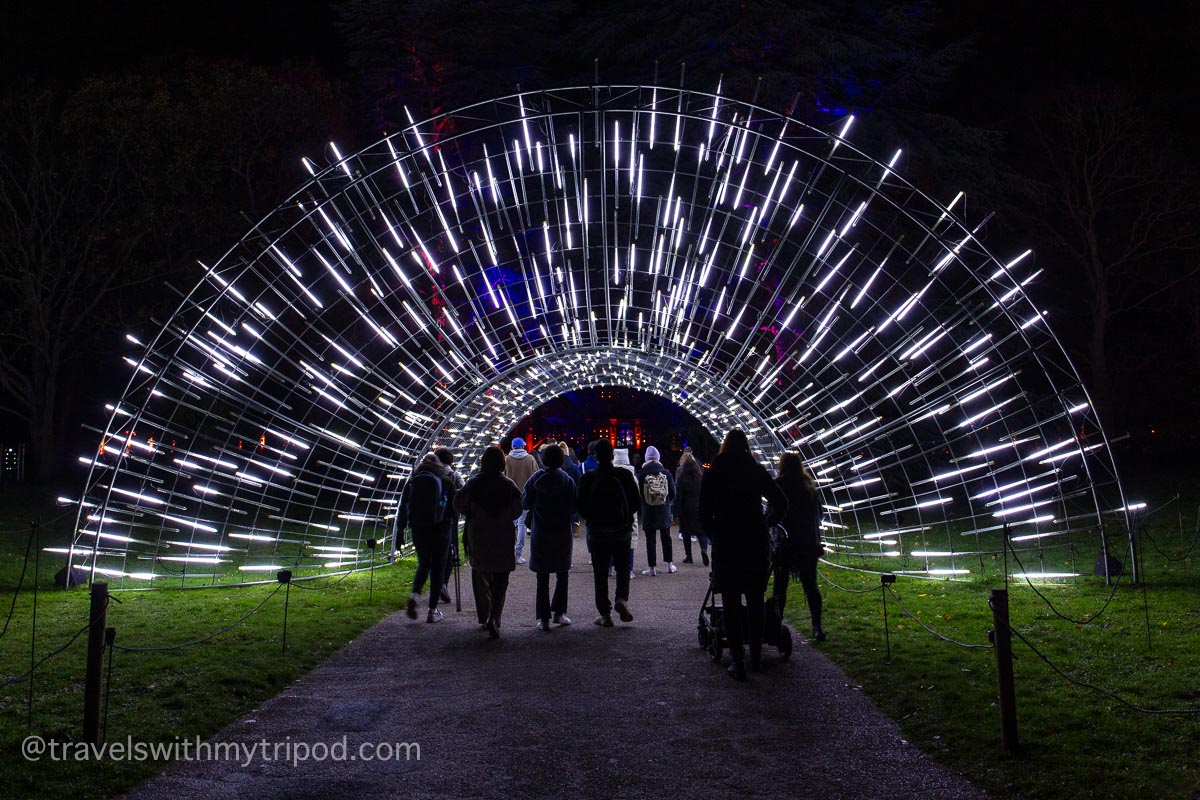 Illuminated tunnel at Christmas at Kew