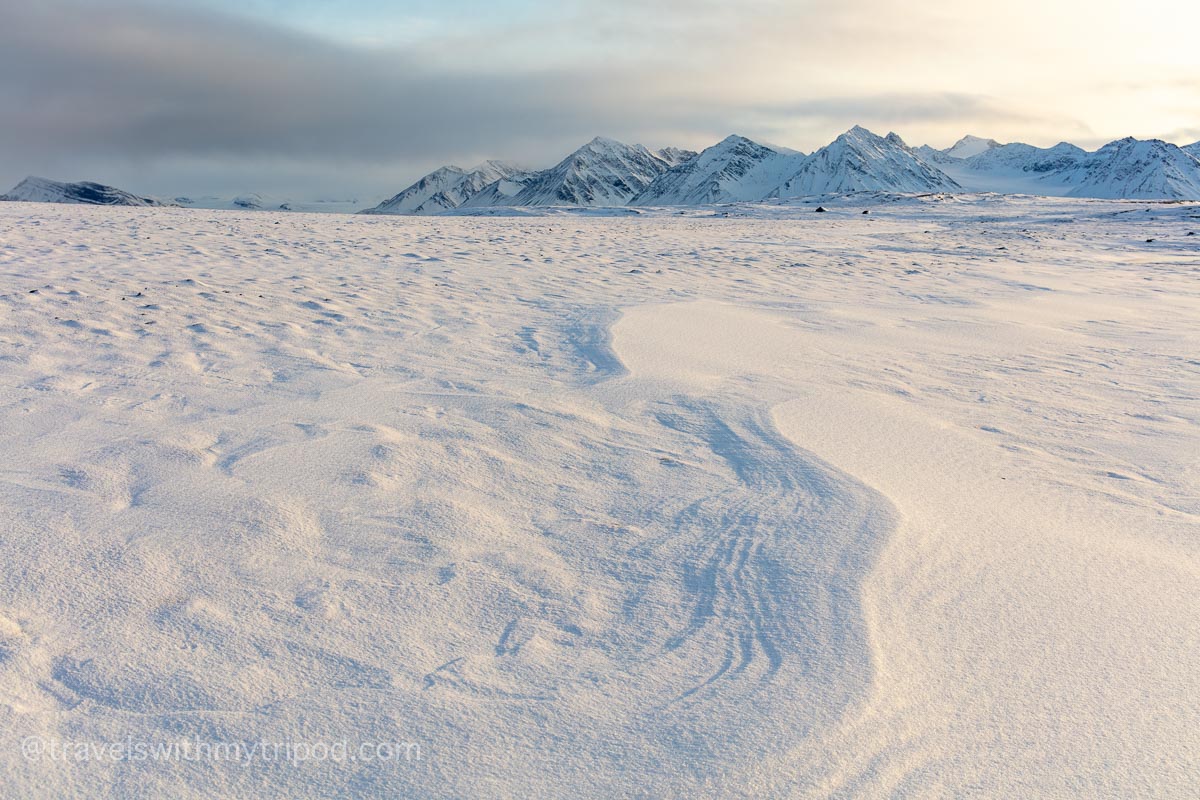 Frozen landscape in Svalbard