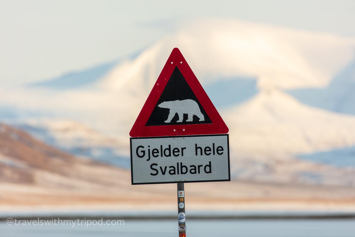 Polar bear warning sign