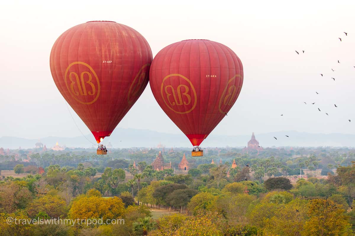 Two Balloons Gently Nudge Each Other